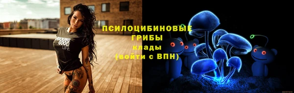 тгк Горняк