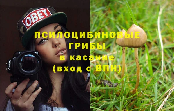 тгк Горняк